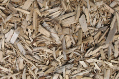 biomass boilers Affleck